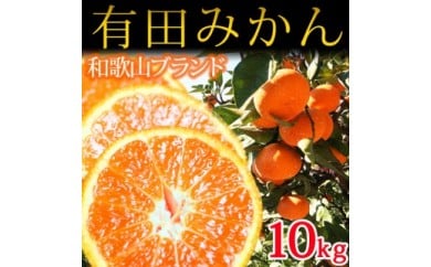 完熟有田みかん10kg<br>※2025年11月下旬〜2026年1月下旬頃に順次発送予定