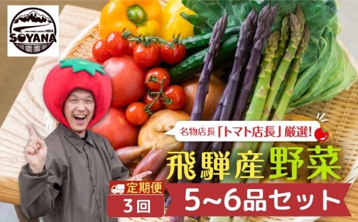【先行予約】【3回定期便】産直市から直送！ 飛騨産 旬の新鮮 野菜セット (5-6品)   ～2026年7月から11月にお届け～