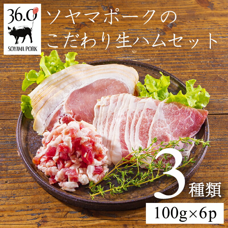【ふるさと納税】目指したのは体温で溶ける脂 ソヤマポークのこだわり生ハムセット3種類(100g×6p) 豚肉 生ハム おつまみ ロース バラ パンチェッタ モモ 食べ比べ 塩分量を低めに設定 お肉本来の風味と質感 国産 宮崎県 高原町 日本産 送料無料 故郷納税 11000円 1万円台