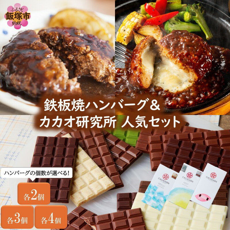 【ふるさと納税】＼ハンバーグの個数が選べる／鉄板焼ハンバーグ(2種)＆カカオ研究所 人気セット 選べる 内容量 各2個 各3個 各4個