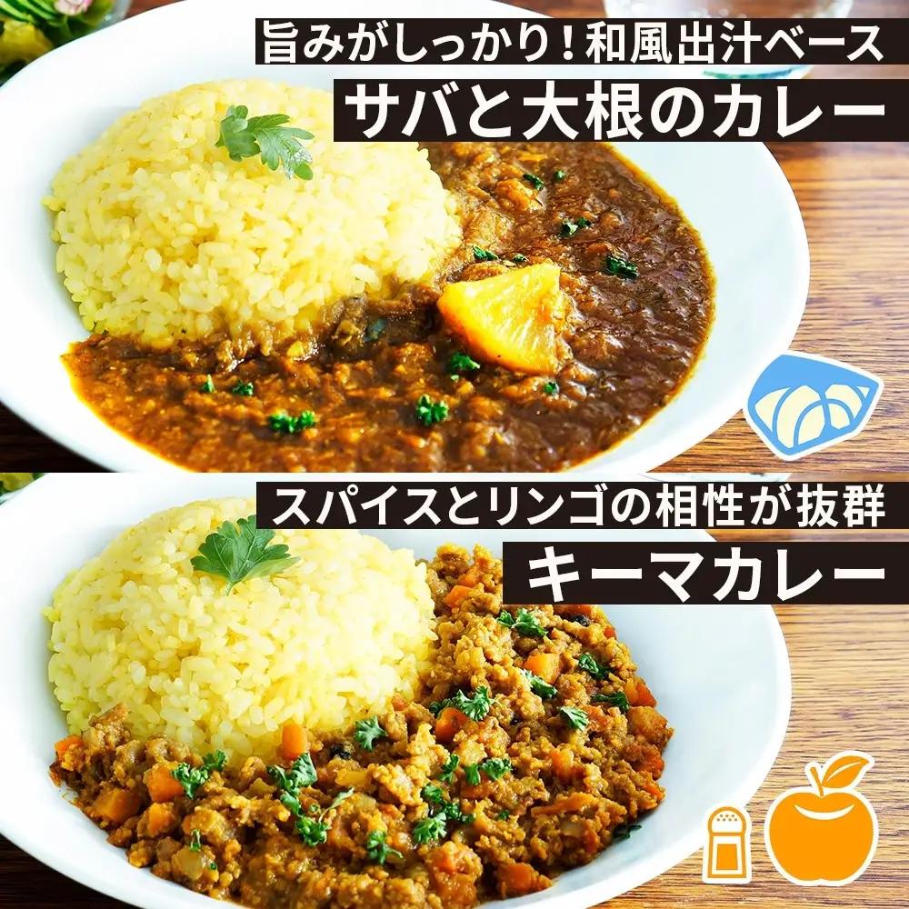 コーノスパイス スパイスカレー3種セット チキンカレー サバと大根のカレー キーマカレー 各200gパック 小麦粉不使用 グルテンフリー CONO SPICE コーノコーラ 愛知県 名古屋市