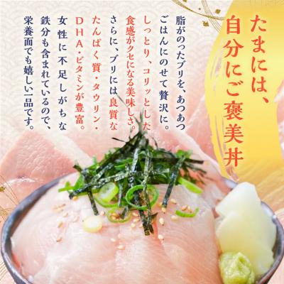 ふるさと納税 鹿児島市 【 生活応援 + マグロ中落丼 100g×1P 】 期間限定 鹿児島産 ブリ丼 70g×5セット |  | 01