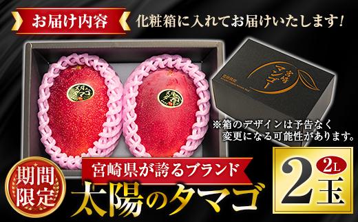 『太陽のタマゴ』 宮崎 完熟マンゴー 2L×2玉（1玉350～459g） 宮崎県産 トロピカル フルーツ 贈答 お取り寄せ 果物 旬