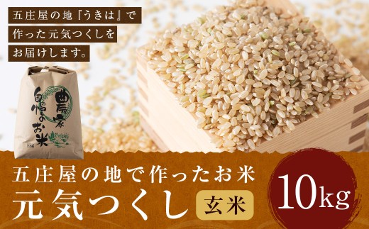 【特Aランク米】五庄屋の地で作ったお米 元気つくし 玄米 (10kg) 【2025年10月上旬より順次発送予定】 こめ コメ ごはん ご飯 福岡県うきは市産 九州産