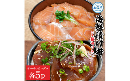 土佐の海鮮漬け丼（サーモン・まぐろ）各5袋（1パック60g） 高知県土佐市 【企業組合　宇佐もん工房】 [BQAB042]