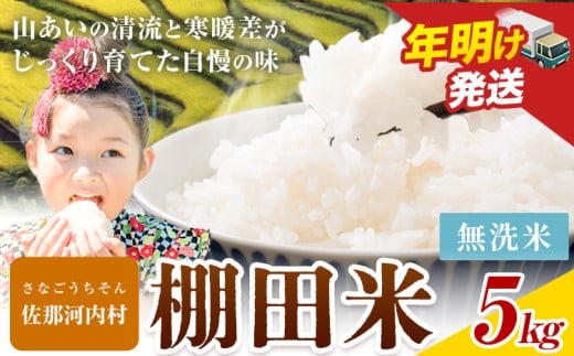 《年明け出荷対応》清流と寒暖差が生む村自慢の棚田米 無洗米 5kg《1月中旬-2月下旬》徳島県 佐那河内村 お米 米  送料無料