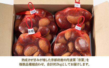 栗 2kg 丹波栗 おまかせセット 11月発送 ［BSAR019］