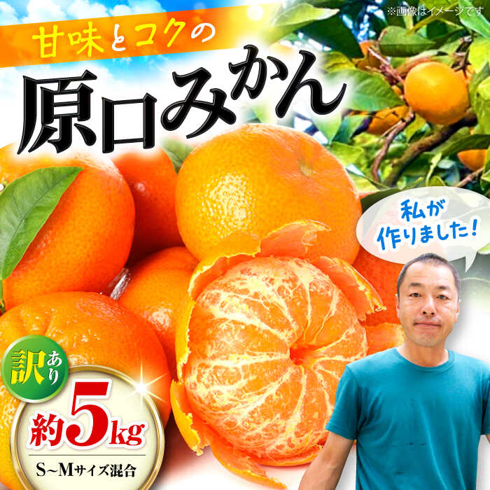 【ふるさと納税】【年内配送】【訳あり】 原口みかん 約 5kg（S〜Mサイズ混合） ＜山田果樹園＞[CCX009] 長崎県 西海市 みかん ミカン 蜜柑 柑橘 みかん 温州みかん 訳あり 傷 みかん 産地直送 フルーツ 果実 果物 傷あり 不揃い あまい ビタミン 旬 10000円 5kg 家庭用