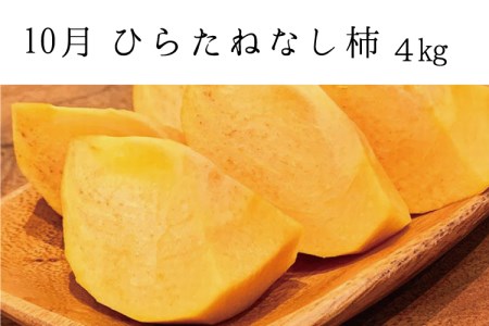 【3か月定期便】【全3回定期便】秋の味覚 果物定期便　柿・みかん　旬のフルーツを毎月お届け♪【tkb130】