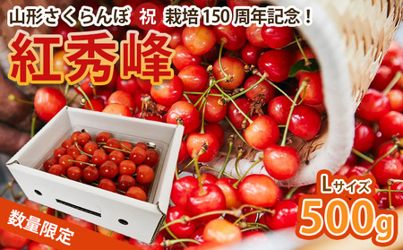 山形さくらんぼ (祝)栽培150周年記念！紅秀峰 500g L玉 数量限定！【令和8年産先行予約】FS25-111