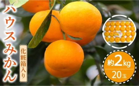 【2026年6月中旬-発送】ハウスみかん 約2kg [SAC003] みかん