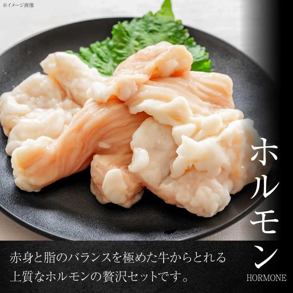 葉山石井牛ホルモン味噌味、ネギ塩味 各300g  ／ ホルモン [ASCD013]