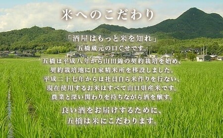 五橋 紙パック 1.8L 1800ml 6本セット【酒井酒造】