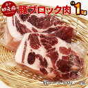 【ふるさと納税】GIFTON 岩手 四元豚 豚肩ロース ブロック 1kg 500g 2パック 豚肉 冷凍 プレゼント ギフト 贈り物 ご当地 みやげ お中元 お歳暮 年末年始 大晦日 年越し お正月 パーティー ステーキ 焼肉 煮込み 料理 ストック かたまり肉 ごえん株式会社