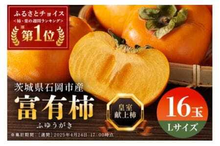 【令和7年分 先行予約】八郷柿出荷組合の 富有柿 L 16玉 柿 皇室献上柿 かき 富有カキ ( 1箱 ) 果物 フルーツ くだもの カキ 富有かき 秋 旬 高級 糖度 贈答用 贈答品 ギフト 贈り物 品種 ブランド 11月 12月 発送 産地直送 農家直送 産直 茨城県 石岡市 (A21-002)