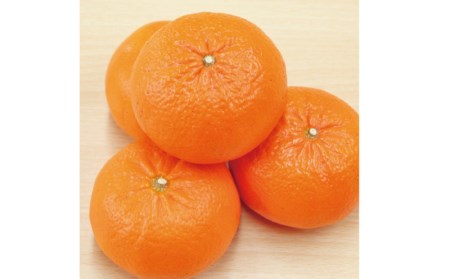 みかん フルーツ くだもの 果物 麗紅 れいこう 【先行予約】石本果樹園の美味しい麗紅（レイコウ）約4kg 20から25玉【2024年2月中旬から3月中旬までに順次発送】【min003】
