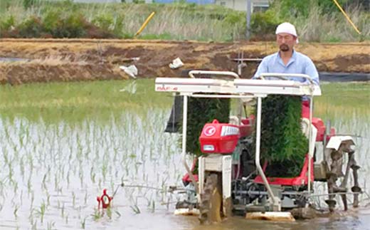 【先行予約】お米の定期便 農薬不使用米 太地米完熟 【こしひかり】 白米9kg×12か月連続 ブランド米 お米 精米 白米 人気 F7X-0743