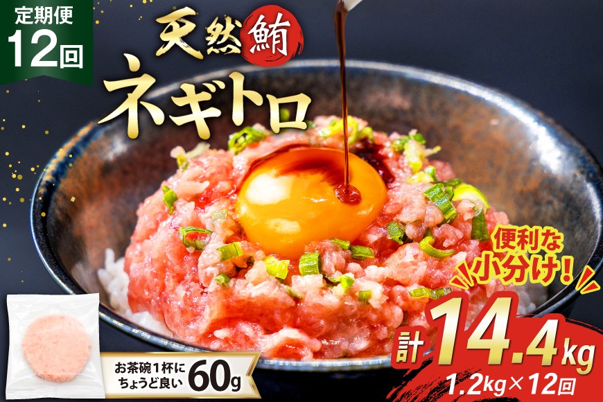 
            12回 定期便 天然 マグロ ネギトロ まぐろたたき 冷凍 60g 20個 計1.2kg [トライ産業株式会社 静岡県 吉田町 22424397] 小分け 個包装 まぐろのたたき 鮪 まぐろ ネギトロ丼 ねぎとろ マグロたたき
          