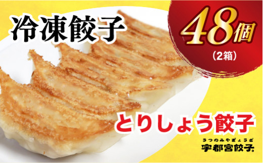 
【とりしょう】餃子　24個入り×2箱【 ぎょうざ 冷凍餃子 冷凍食品 惣菜 栃木県 宇都宮市 】※着日指定不可 ※北海道・沖縄・離島への配送不可
