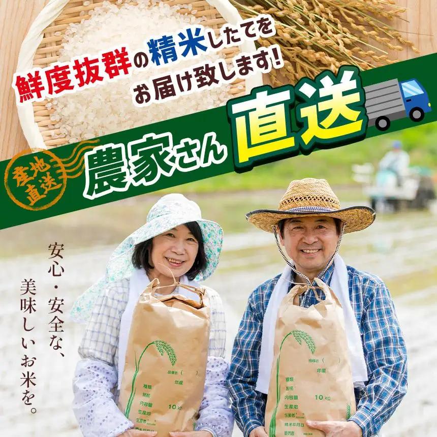 お米 令和8年産 こしひかり 白米 10kg【2026年 先行予約】 | 栃木県共通返礼品 真岡市産