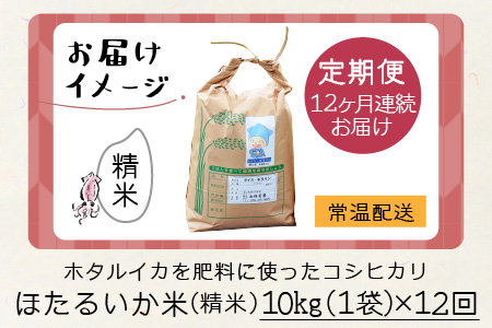 ほたるいか米　コシヒカリ 精米10kg ×12回 計120kg 12ヶ月定期便 米定期便 [N-021001]