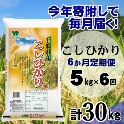ふるさと納税 大網白里市 【毎月定期便】コシヒカリ 精米 5kg (5kg×1袋)全6回