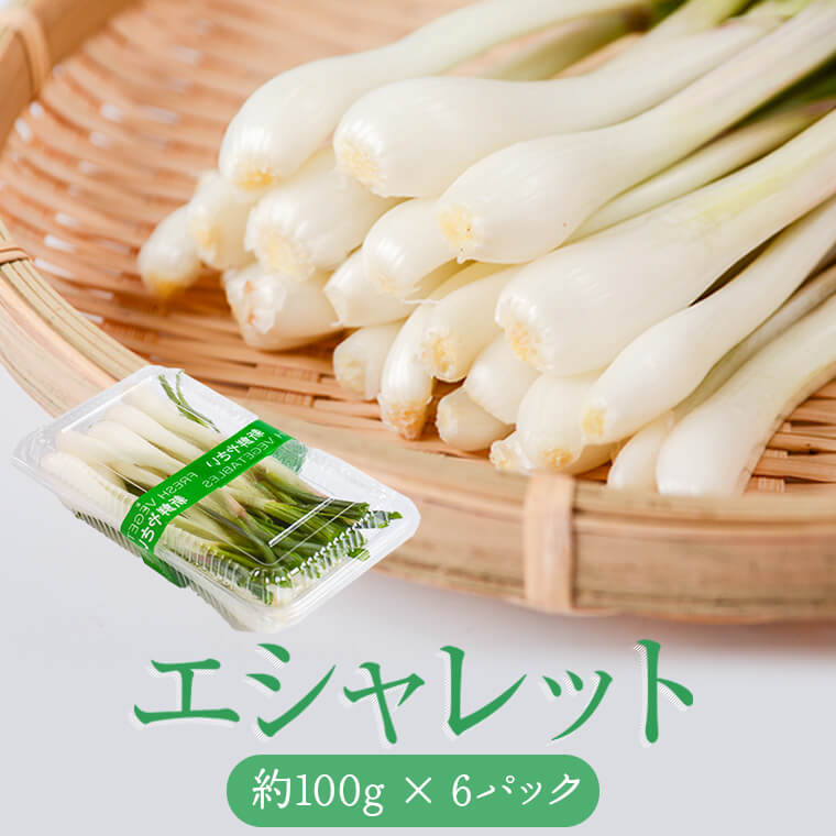 【ふるさと納税】 鹿児島県薩摩川内市唐浜産エシャレット（若摘みらっきょう） 100g×6パック 計600g ZS-971 生食 柔らかい シャキシャキ 唐浜産 鹿児島産 鹿児島県産 九州産 国産 砂丘 鹿児島県 薩摩川内市 送料無料【3月中旬以降順次出荷】