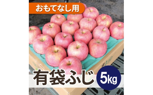 ＜26年6月出荷予定＞平均糖度13度以上! 有袋ふじ 約5kg おもてなし用 CA貯蔵 クール便【1613047】