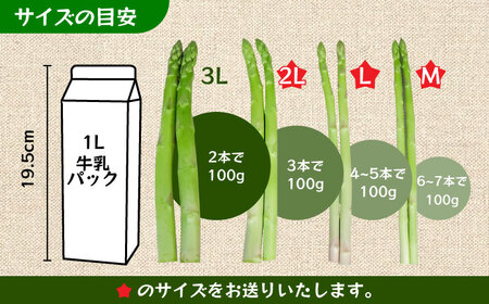 【先行予約】モーモーアスパラ 夏芽 M / L / 2L セット 1.2kg（6月上旬から順次発送) 日田市 アスパラガス[ARAI038]