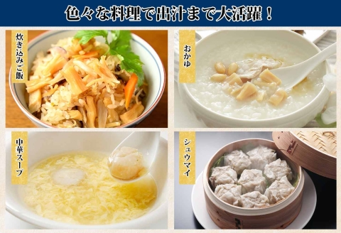 3344.ほたて 干し貝柱 ホタテ貝柱 帆立 貝柱 100g×10 計1kg 小分け ホタテ ほたて貝柱 海鮮 おつまみ 酒の肴 出汁 送料無料 北海道 弟子屈町