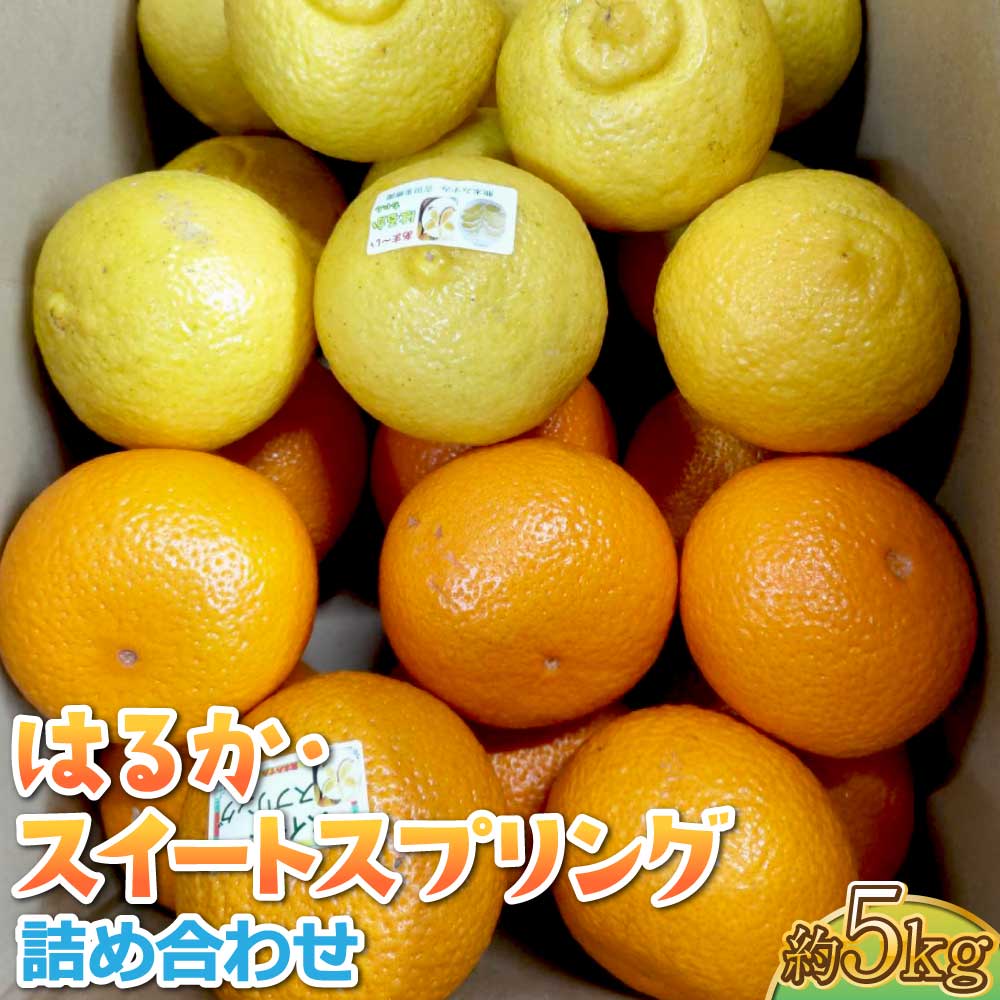 【ふるさと納税】先行予約 はるか・スイートスプリング 詰め合わせ 約5kg【2027年2月上旬〜4月下旬頃順次発送予定】柑橘 みかん ミカン 食べ比べ フルーツ かんきつ 甘い 爽やか ジューシー 果物 ギフト 贈り物 国産 九州産 熊本県産 宇城市産 送料無料 吉田レモニー