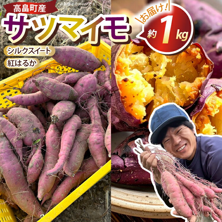 【ふるさと納税】 【期間限定発送】 さつまいも 2種 紅はるか シルクスイート 詰め合わせ 約1kg (4〜6本) [農家の店しゃんくすろーど 山形県 高畠町 tk06bcz250002] 芋 サツマイモ いも 野菜 やさい セット