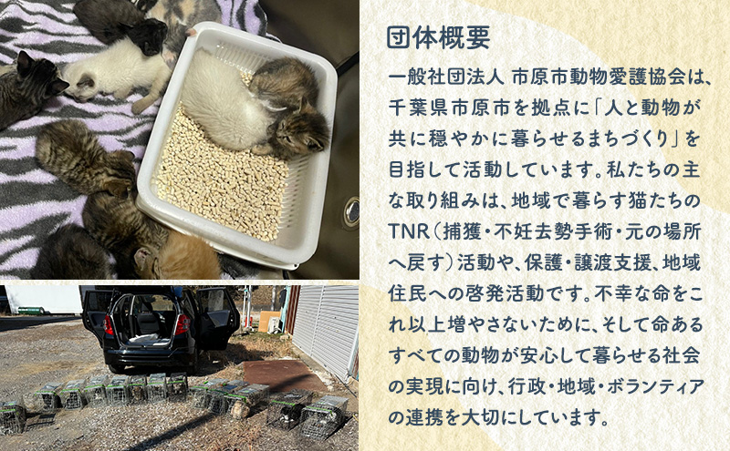 洋菓子 【第2クローバー学園】手作りにこだわったギフトB お菓子 焼き菓子 セット マドレーヌ クッキー マフィン ムラング フィナンシェ フロランタン ジャム 市原市 千葉県