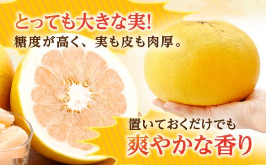 ぷりぷりで爽やかな香り！ 紅まどか 4個入り【おおたに農園】 [OBP001]
