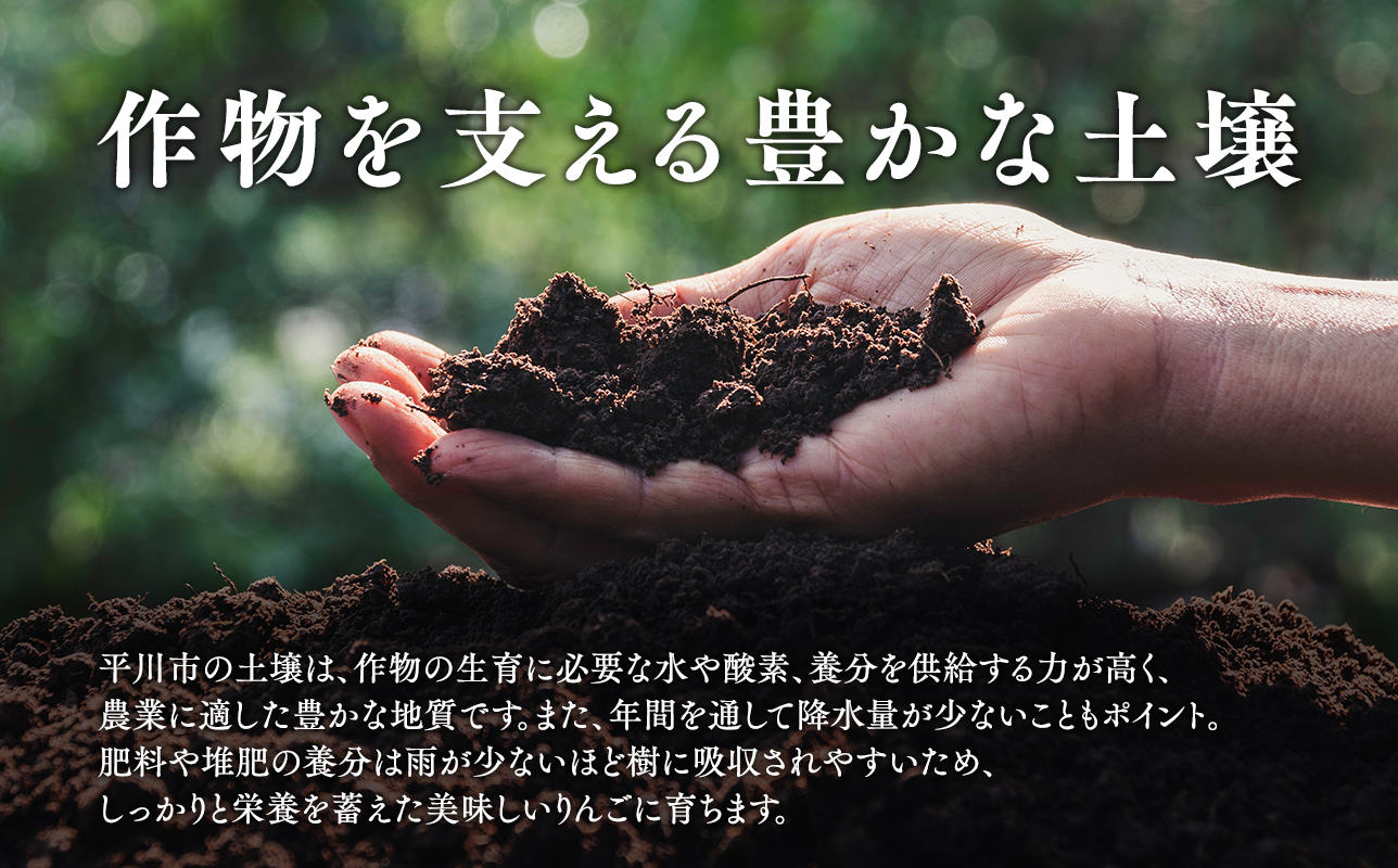 2月 発送【訳あり】家庭用サンふじ約3㎏【サンふじ・りんご・青森・平川・訳あり・家庭用・原田青果・３㎏】