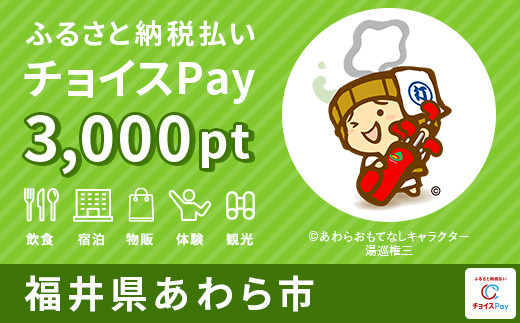 
あわら市チョイスPay 3,000pt（1pt＝1円）【会員限定のお礼の品】
