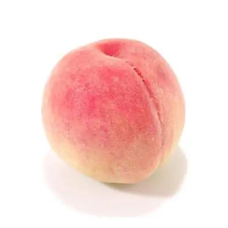 【発送月固定定期便】山梨旬の味覚定期便【桃 約1kg/2色葡萄 1kg以上】全2回【配送不可地域：離島】【4082867】