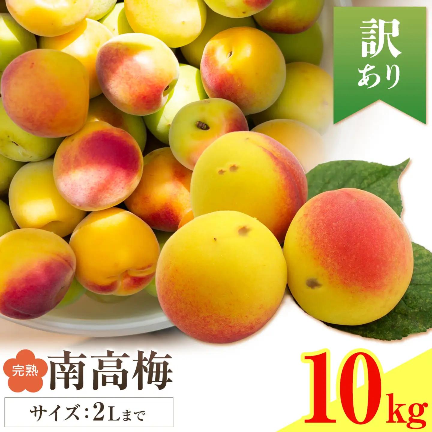 紀州南高梅 訳あり(完熟) 2L 10kg 農業福祉研究機構《6月下旬-7月上旬頃出荷》