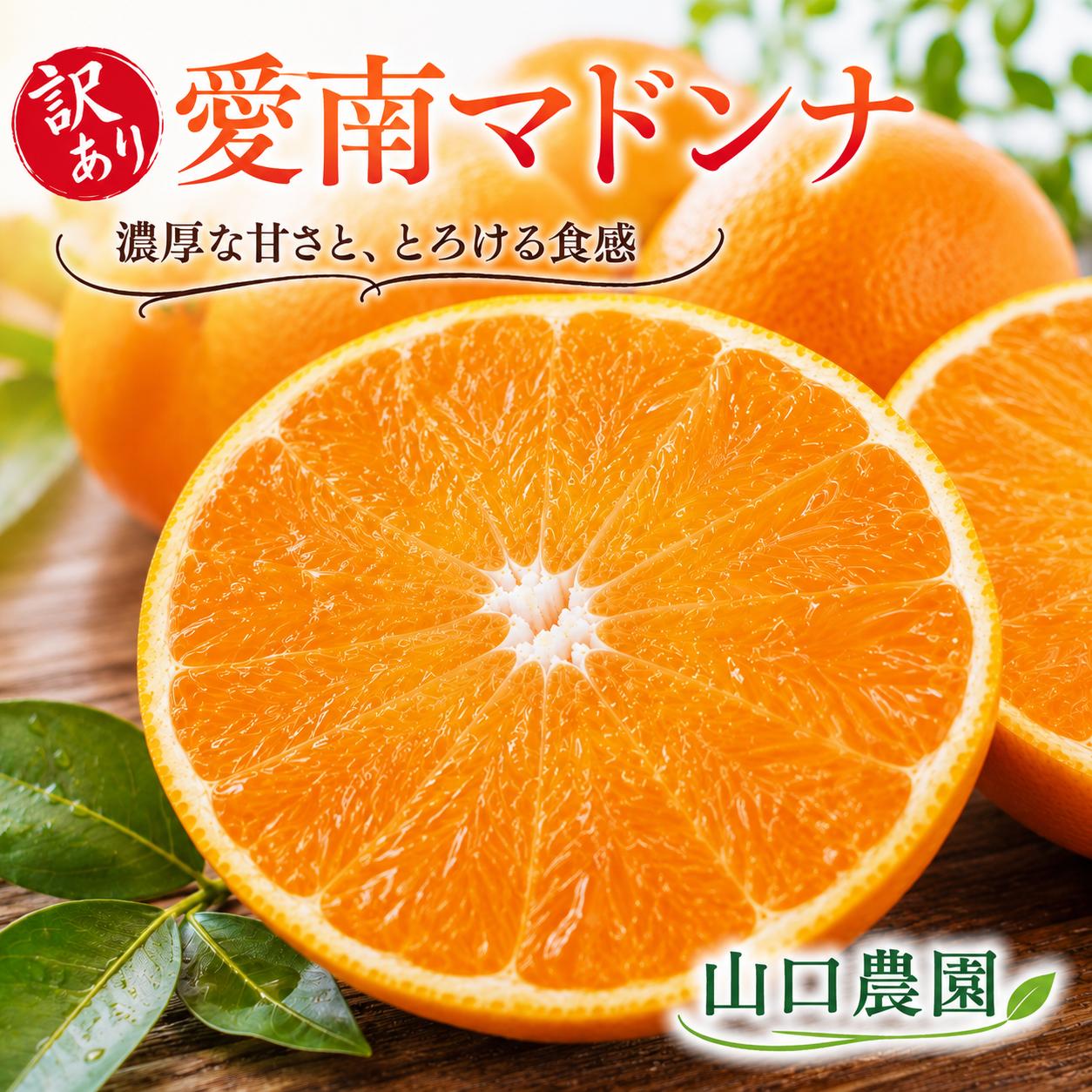 
                  【先行予約】訳あり 愛南マドンナ 5kg まどんな 紅まどんな 愛果28号 みかん 蜜柑 甘平 せとか 高級 人気 ブランド とろける ゼリー 食感 産地直送 柑橘 果物 フルーツ ビタミン 国産 愛媛 愛南町 山口農園
                