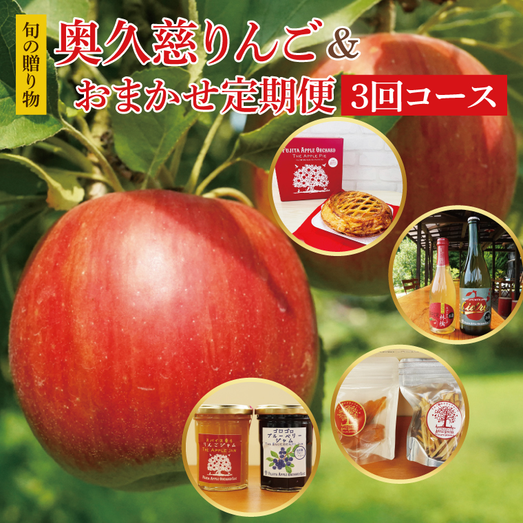 【10月より発送開始】【旬の贈り物】奥久慈りんごとおまかせ定期便（3回コース）｜茨城県 大子町 林檎 果物 フルーツ 旬 季節限定 数量限定 アップルパイ シードル スパークリング 酢 グラッセ ジャム お菓子 ミックス(BJ004)
