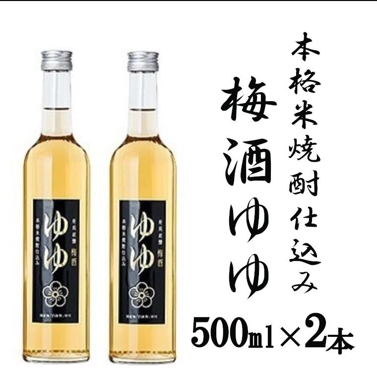 【ふるさと納税】梅酒ゆゆ 500ml×2本 国産梅 白加賀梅 米焼酎 新潟銘醸 【0002-0032-01】