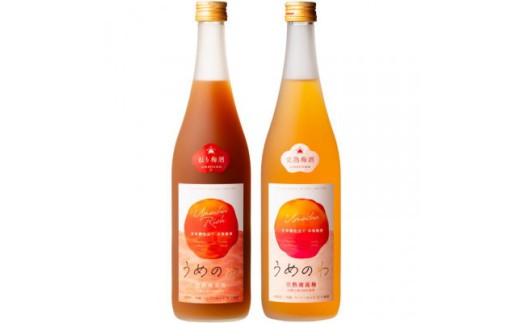 【紀州完熟南高梅使用】濃厚「ねり梅酒」と芳醇「梅酒」各720mlの飲み比べ【tecj1003A】