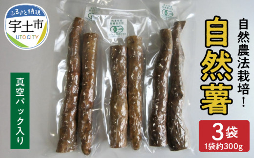 U15-0558　那須自然農園　自然農法栽培! 　真空パック入り自然薯(約300g×3袋)