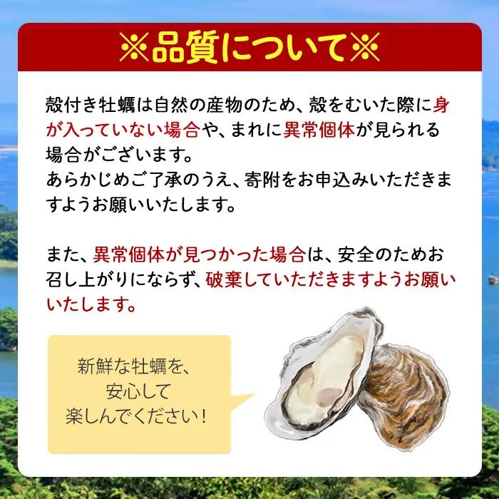 殻付き牡蠣（生食用）冷凍18個（約1.5kg） 生牡蠣 宮城県産 牡蛎 牡蠣 カキ かき 生食 オイスター カキフライ 牡蠣鍋 海鮮 国産 魚貝類 バーベキュー BBQ 【末永海産株式会社】sh166