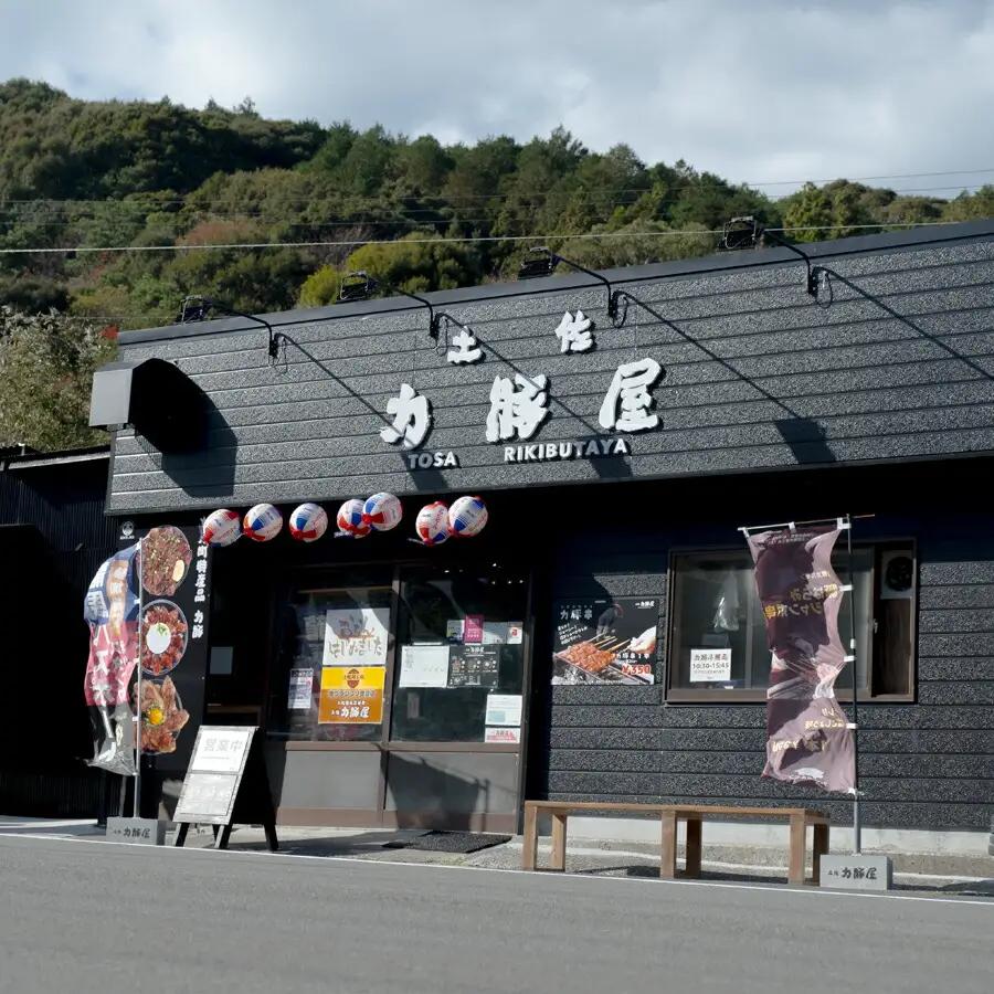 国産 ブランド豚 力豚使用 土佐力豚屋の特製豚まん 4個入り ご当地グルメ 冷凍配送 高知県産