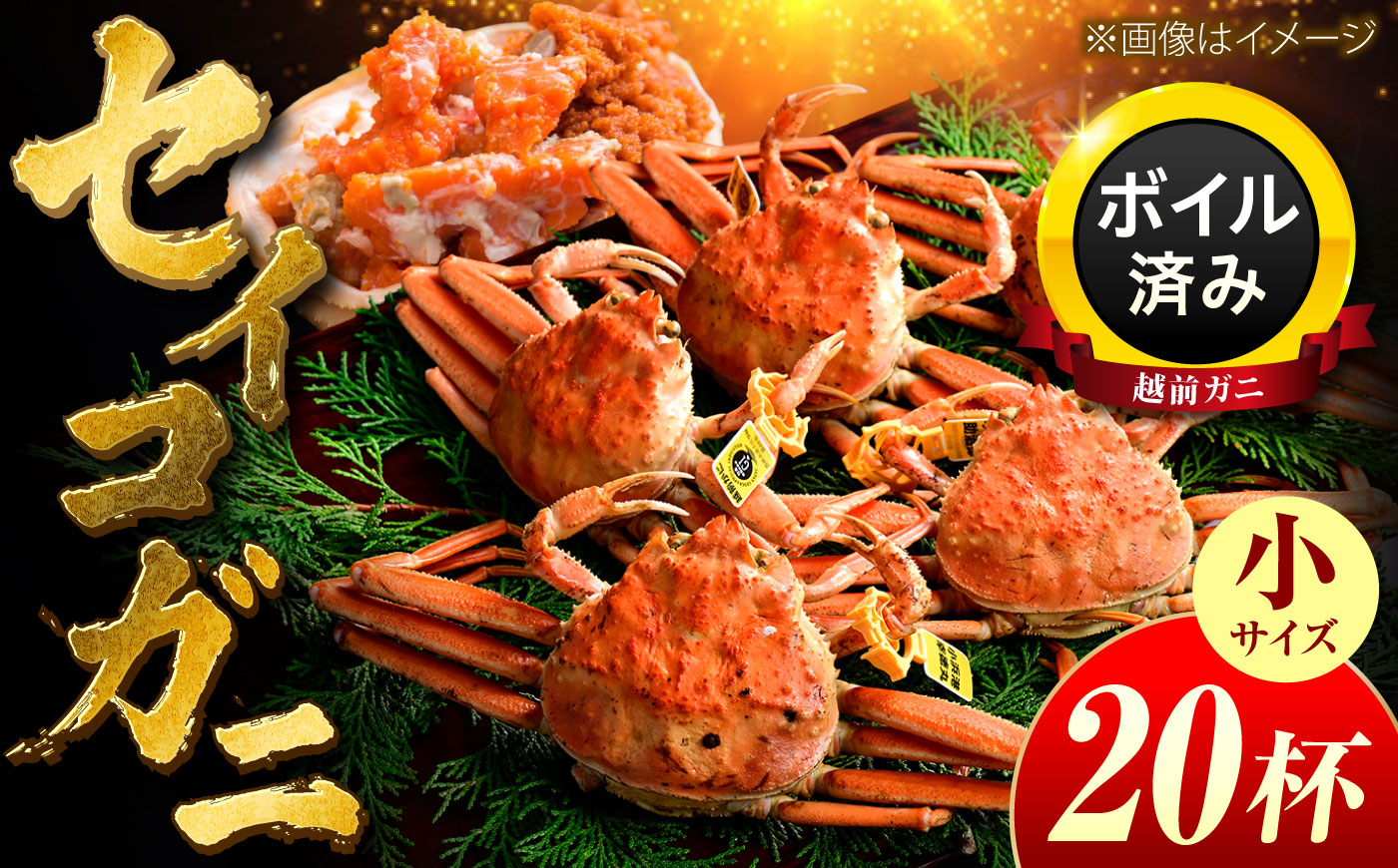 【先行予約/11月7日より順次発送】 越前ガニ メス（ セイコガニ ）小サイズ20杯 / 越前ガニ コッペガニ せいこ蟹 カニ 越前がに 小浜市 / まるほ商店 【配送不可地域：北海道・沖縄・離島】[