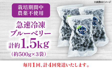 【全4回定期便】青い宝石 国産 急速冷凍ブルーベリー 計約1.5kg（約500g×3袋） 果物 くだもの フルーツ ぶるーべりー 熊本県 菊陽町【アグファーム株式会社】[BHCX015]