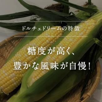 南部町産 朝採れスイートコーン（バイカラー種ドルチェドリーム）5kg箱　2025年収穫分＜数量限定＞