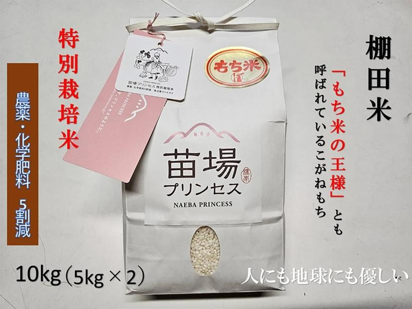 
                  【令和8年産先行予約】もち米 10kg ( 5kg × 2袋 ) 魚沼産 こがねもち 苗場プリンセス 特別栽培米 | 精米 コガネモチ 餅米 モチ米 農薬化学肥料5割減 ブランド米 おすすめ 人気 新潟県 津南町
                
