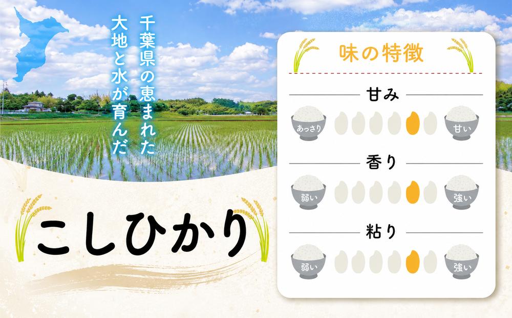 新米 9月配送 【コシヒカリ 10kg】 米 お米 こめ コメ こしひかり 8年度産 